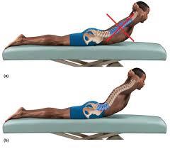 2. Strengthening of back extensor muscles