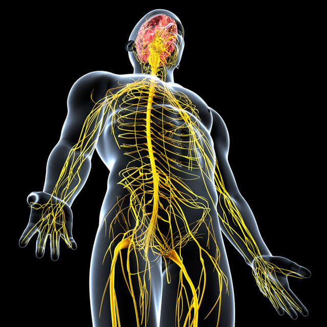 Manual therapy used in Neural Injuries 
